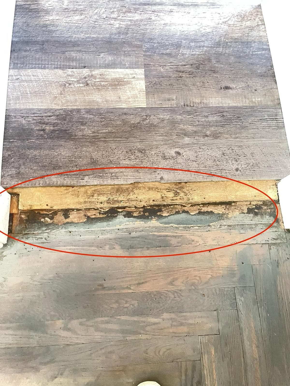 Hidden subfloor moisture
