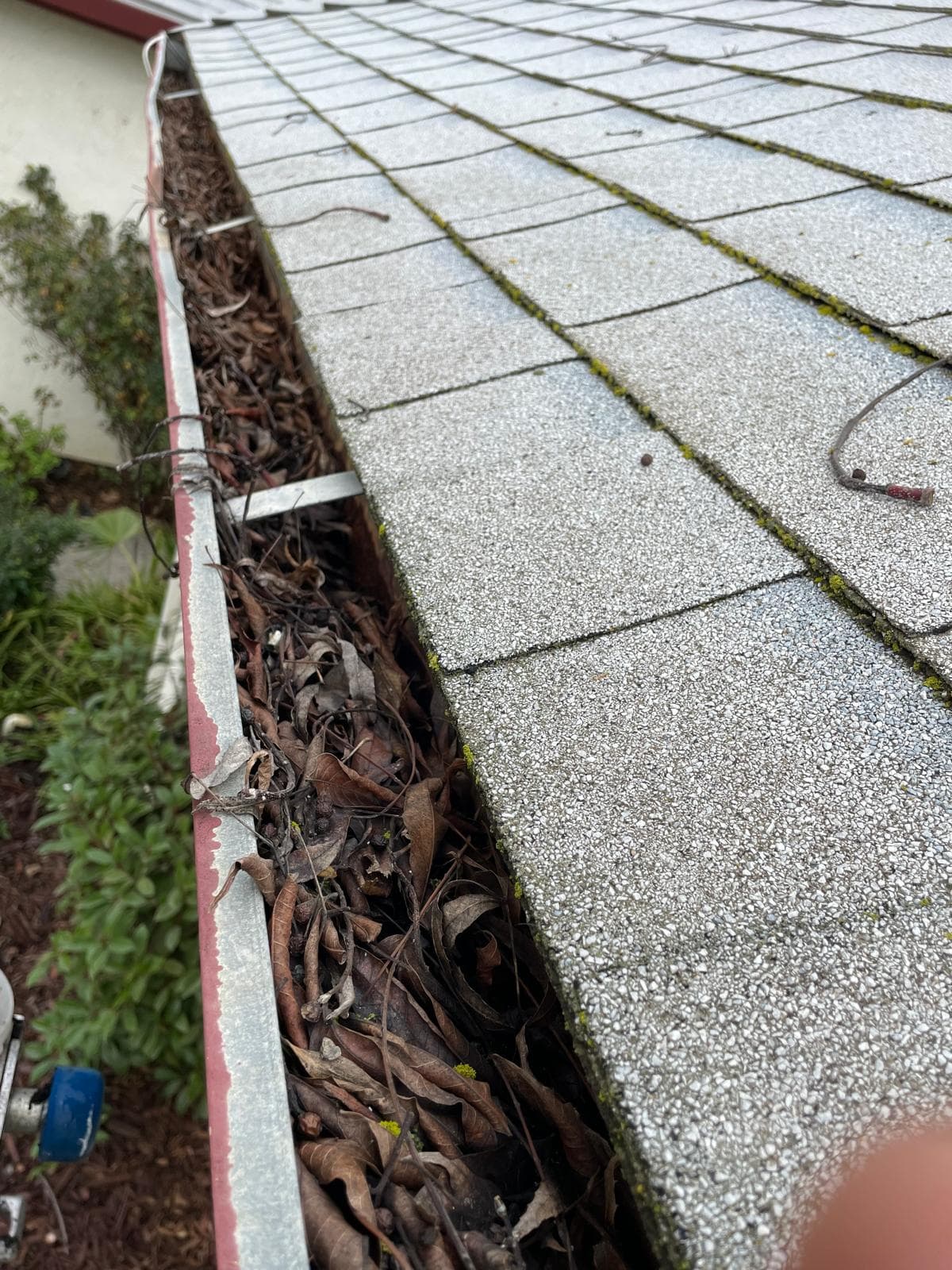 Fully clogged gutters